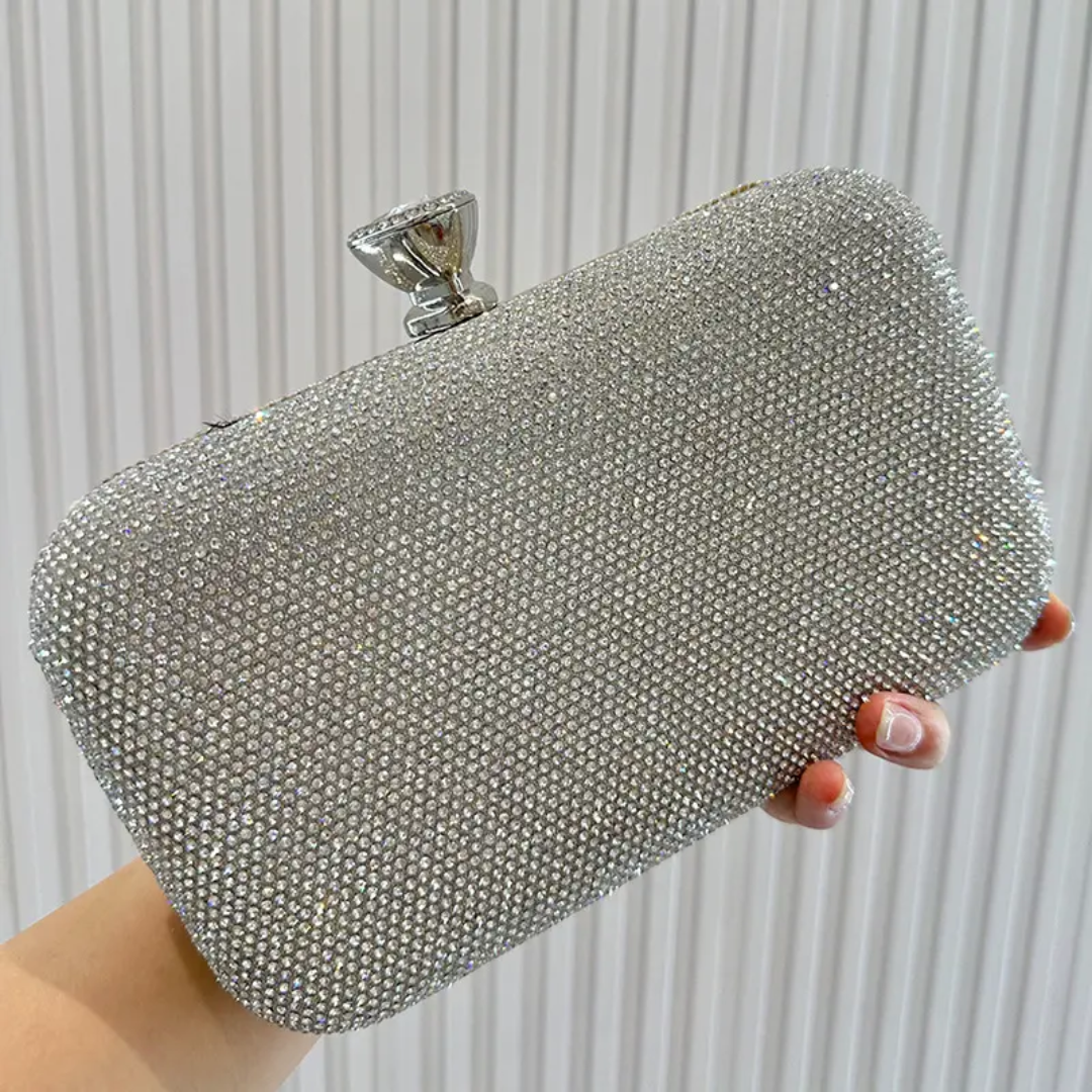 Glam and Shine: The Silver Evening Clutch