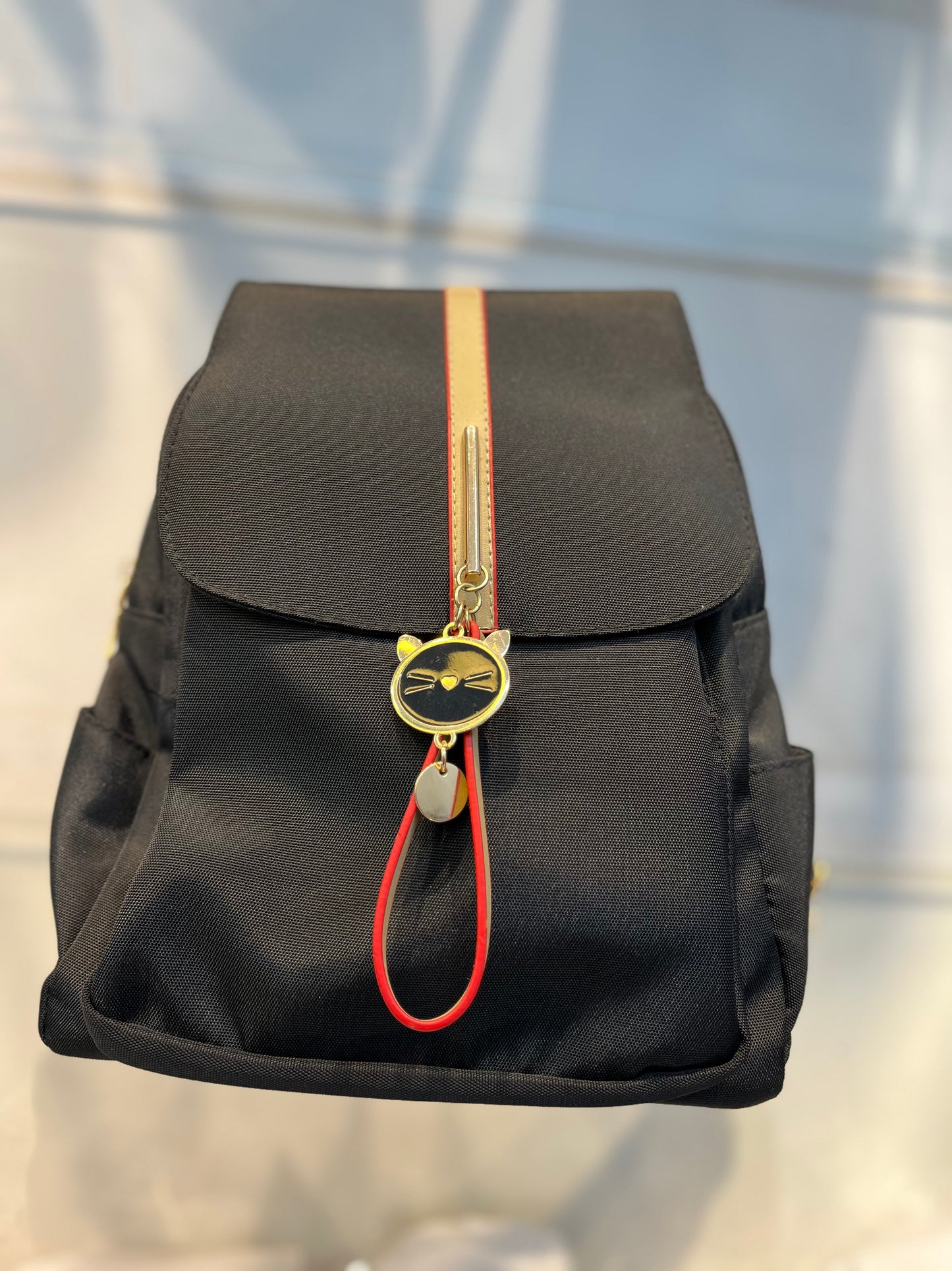 Water-Resistant Black Backpack with Imported Matte Fabric